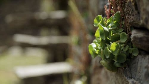 Image 2025-10-22 163515_3.20.2.jpg