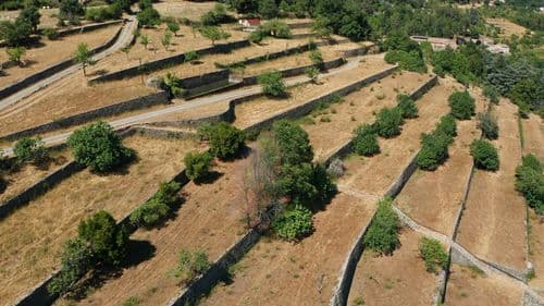 Image 2025-10-22 163515_3.32.1.jpg